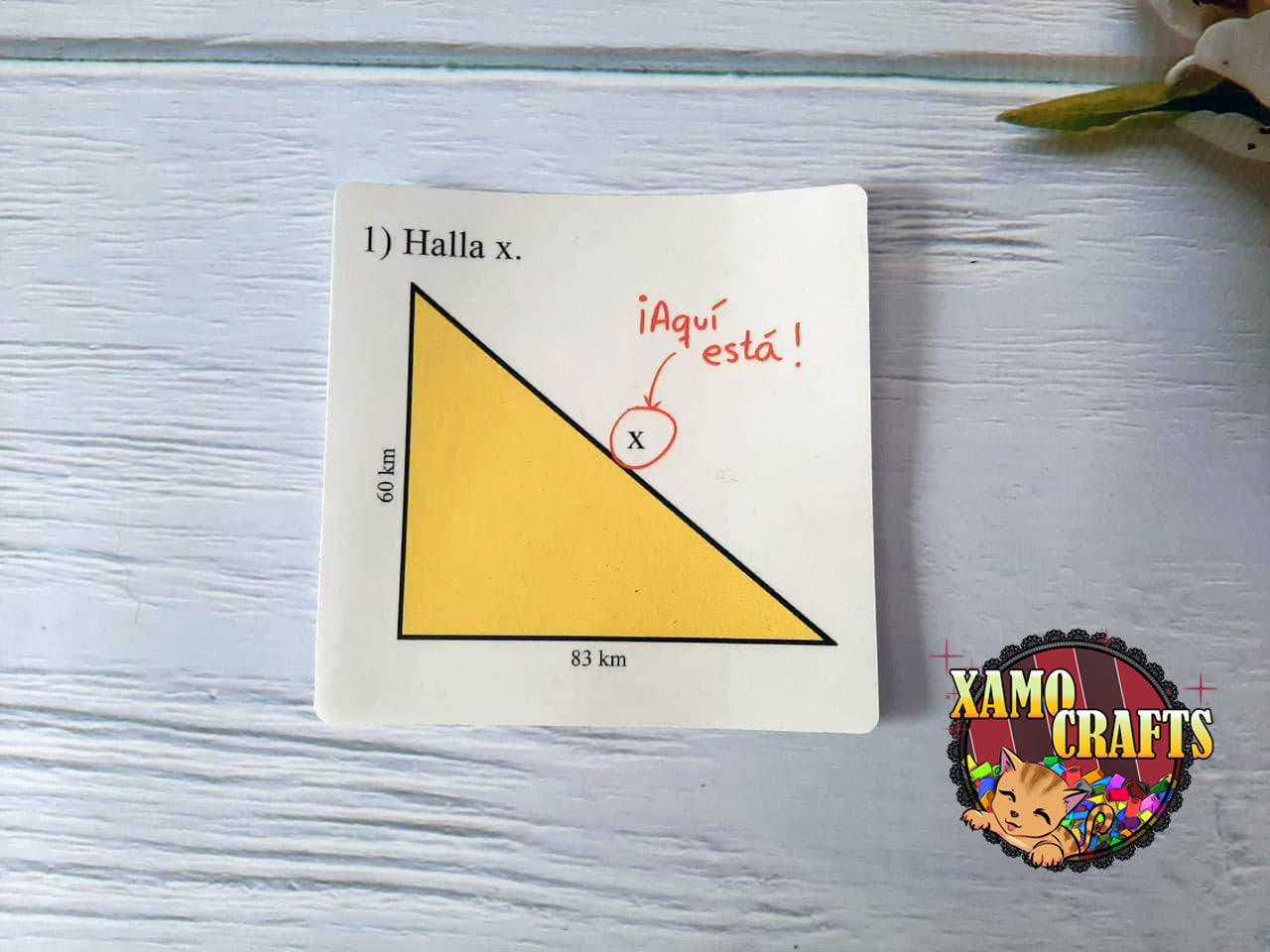 Pegatina TRANSPARENTE de Matemáticas: "Halla x." Tienda-XamoCrafts